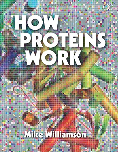 How Proteins Work