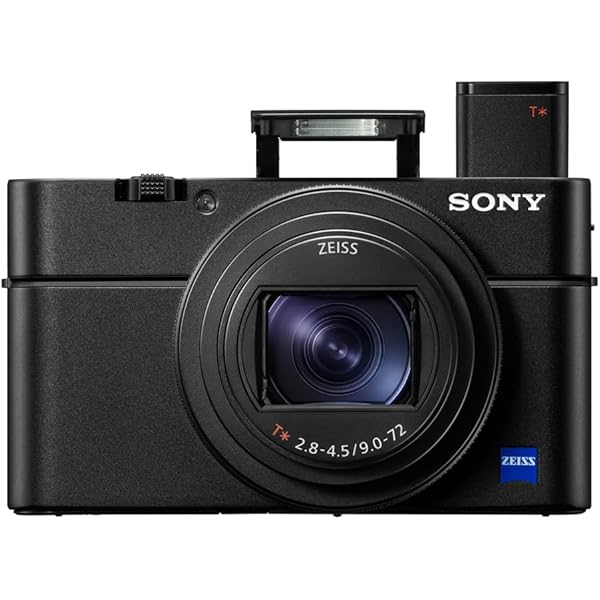 Photographer's Guide to the Sony DSC-RX100 VII: Getting the Most