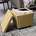 Belham Living Noelle Storage Ottoman with Nailheads