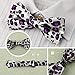DBF0170 Multiple Colors Patterned Handsome Goods Poly Bow Ties Cheap Gift 5 Pre-tied Bow Ties Set By Dan Smith