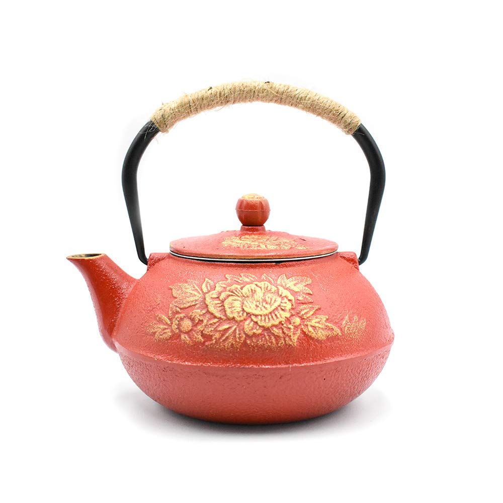 Best small tea kettle japanese