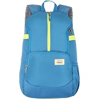 American Tourister Copa 46 cms Teal Casual Backpack (FU9 (0) 11 002)