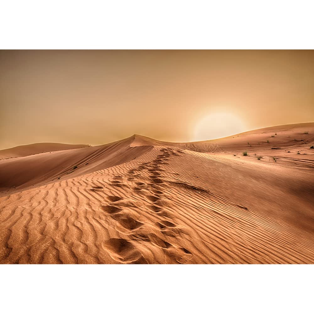 Aoihrraan 2,2x1,5m Desert Landscape Backdrop Sand Dunes Arid Barren Green Shrub Plant Climate Hot Sunset Natural Scenery Photography Background Travel Holiday Vacation Adult Portrait Photo Studio Prop