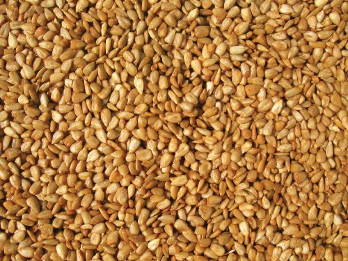 Cole's Wild Bird Products HM20 20 Pound Hot Meats Seed