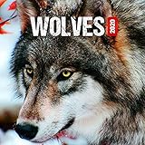 Wildlife Calendar - Calendars 2019 - 2020 Wall Calendar - Photo Calendar - Wolves Wall Calendar by P by 