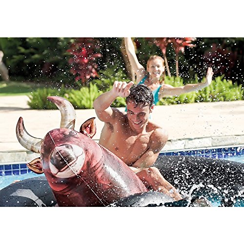Toys & Games, Sports & Outdoor Play, Pools & Water Fun, Pool Rafts & Inflatable Ride-ons