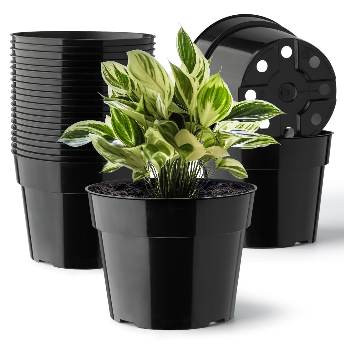 Photo 1 of RooTrimmer 20 Pack Plant Pots, 6 Inch Plastic Plant Planter with Saucers and Mesh Mats, Durable Flower Pots with Drainage Holes Perfect for Indoor Outdoor, Black