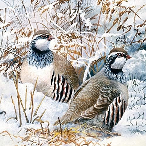 Museums & Galleries Pack of 8 Artistic Charity Christmas Cards (288949-XAE) from Partridge in The Snow by David Feather