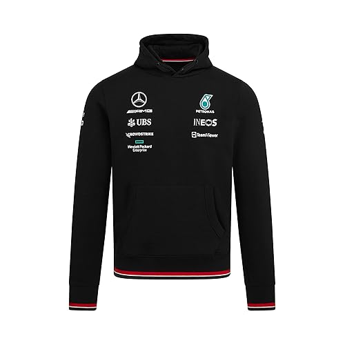 Mercedes AMG Petronas Mercedes-AMG Petronas Formula One Team