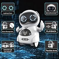 haite mini robot