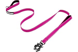HEYDOGGY Strong Heavy Duty Dog Leash - 4ft Reflective Nylon Training Leash with Soft Padded Double Handle & Auto Lock Frog Clip - Safety Traffic Control for Large Medium Small Dogs No Pull Walk Hot Pink,4ft
