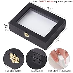 IHEIPYE Insect Display Case Wall Mount Bug Display