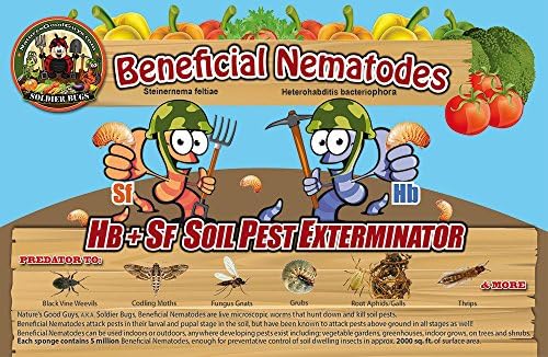 Bug Sales 25 Million Live Beneficial Nematodes Hb & Sf - Kills Over 200 Different Species of Soil Dwelling and Wood Boring Insects.