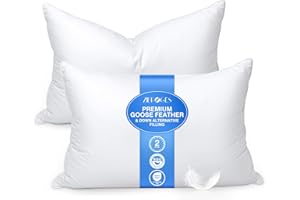 zibroges Goose Feather Bed Pillow Queen Size Set of 2 - Hotel Down Pillows for Sleeping, Soft 600 Thread Count Cotton Cover, Fluffy Support Surround Fill Polyester for Back, Stomach, Side Sleepers