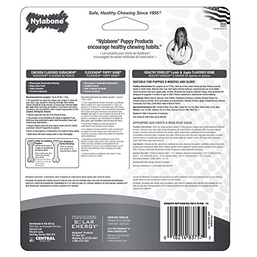 Nylabone Puppy Chew Toy & Treat Puppy Starter Set, Pink Puppy Chew Toys for Girls