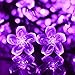Vmanoo Battery Operated Timer String Lights 50 LED Blossom Flower Fairy Christmas Lighting Decor For Outdoor, Indoor, Garden, Patio, Bedroom Wedding Decorations (Purple)