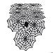 DII Black Lace Overlay Tabletop Collection Gothic Halloween Decor, Table Runner, 18x72, Spider Web