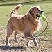 KONG AirDog Fetch Stick w/Rope Lg