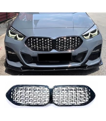 Amazon.com: Front Grill/Grilles Kidney Grill Replacement for BMW 2