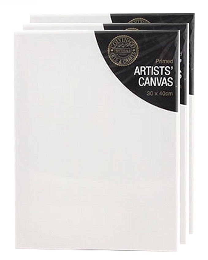 Pack of 3 Blank White Primed Artists Canvas With Wooden Frame 30 x 40cm