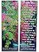eThought Bible Verse Cards - Favorite Bible Verses - Assorted Pack of 50 Bookmark Size Cards
