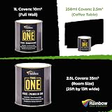 THE ONE All-In-One Paint & Primer Black Matt 250 ml Multi-Surface view 3