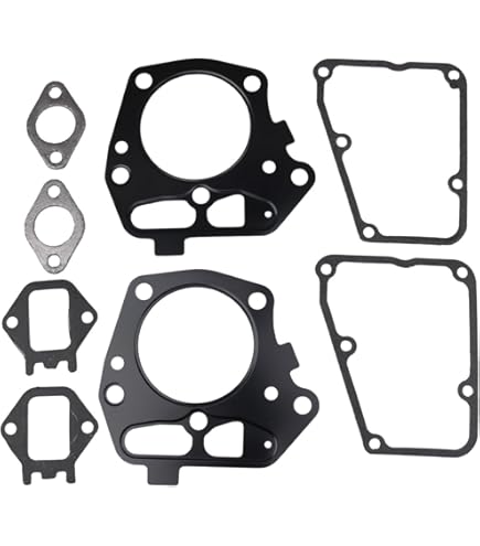Amazon.com: Kawasaki Genuine 11028-6321 Gasket Kit Fits FS481V
