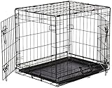 AmazonBasics Double-Door Folding Metal Dog Crate - 24 Inches