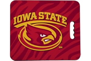 VictoryStore Outdoor Seat Cushions - Iowa State University Stadium Seat Cushion - Zebra Print Design