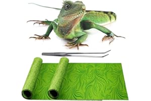 REP BUDDY 2 Pack Rainforest Tropical Reptile Carpet Mat Substrate, Terrarium Liner Bedding, for Lizard,Chameleon,Gecko,Snake,Ceratophrys with Tweezers Feeding Tong (10 Gallon(21.5x11.5in))