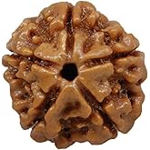 NAISHA Himalayan 5 Mukhi Rudraksha Bead Necklace, 100% Certified & Original Five-Faced Rudraksha Seed for Pooja/Prayer/Meditation