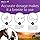 Amazon.com : AEROHIPPUS Equine Aerosol Chamber for Horse ...