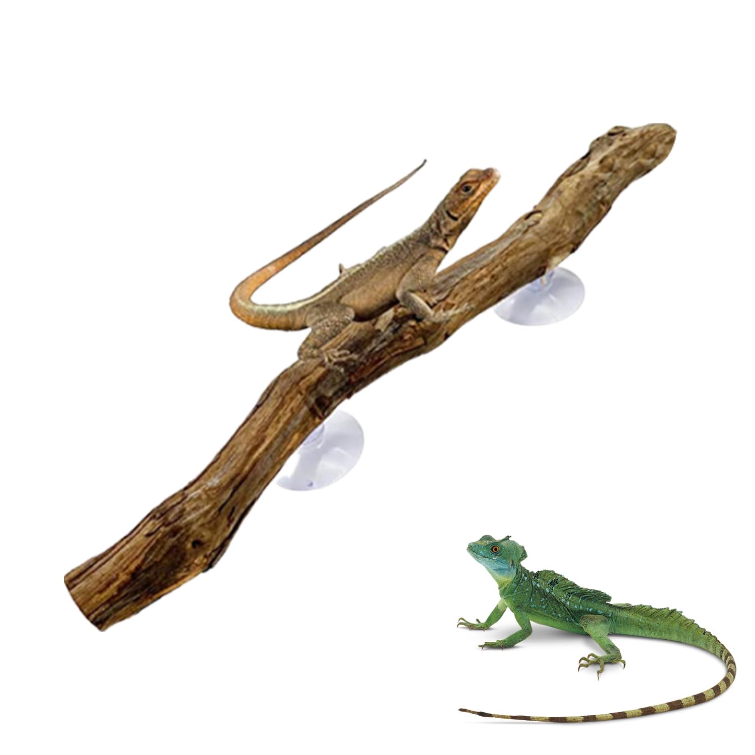 JNAWA Reptile Decor Natural Forest Branch Climb Corner Tree Branch Reptiles Aquarium Decoration with Suction Cup for Snake Lizard and Leopard Gecko