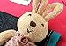 Kid Toddler Walking Safety Harness with Cute Teddy Bear/Bunny Backpack – Sold and Ship From USA (Pink Bunny)