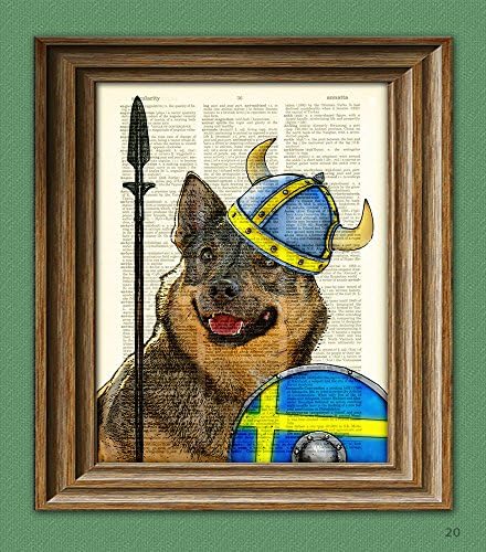 Swedish Vallhund Dog Illustration Freja the Viking Shieldmaiden Upcycled Dictionary Page Book Art Print