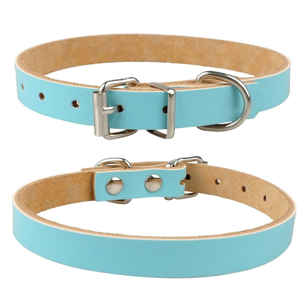 ivisi DEEP Etch Personalized Dog Cat Leather Engraved Collar 4 Sizes Several Colors