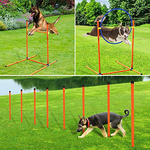 XiaZ Dog Agility Course Equipments, Obstacle Agility Training Starter Kit for Doggie, Pet