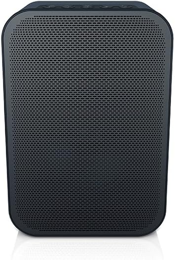 bluesound outdoor speaker