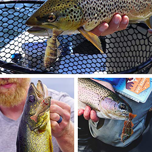 ROSE KULI Fishing Lures Multi Jointed Swimbait Lifelike Fish Lure Tackle Kits