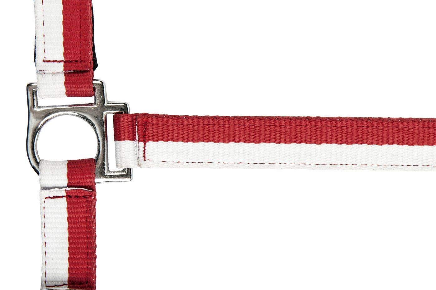 HKM Nylon Headcollar Flags with Carabiner Hook