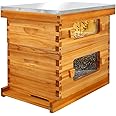 Honey Lake Bee Hive with Windows, 8 Frame Langstroth Complete Beehive Starter Kit Dipped in 100% Beeswax with Beehive Frames and Waxed Foundations (1 Deep Brood Bee Hive Box & 1 Medium Super Bee Box)
