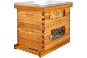Honey Lake Bee Hive with Windows, 8 Frame Langstroth Complete Beehive Starter Kit Dipped in Beeswax with Beehive Frames and Waxed Foundations (1 Deep Brood Bee Hive Box & 1 Medium Super Bee Box)