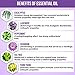 8oz Aromatherapy Air & Room Freshener Spray, Germ Smasher Linen spray odor fighter deodorizer Pure Therapeutic Grade Essential Oils All Natural HandBlended Antiviral Antibacterial Properties
