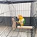 Parrot Fruit Vegetable Stainless Steel Holder,Macaw Foraging Toys,Bird Cage Hanging Food Feed Skewer with Wood Perch for Cockatiel Budgie Parakeet Conure African Grey Cockatoo 2 Pcsthumb 1