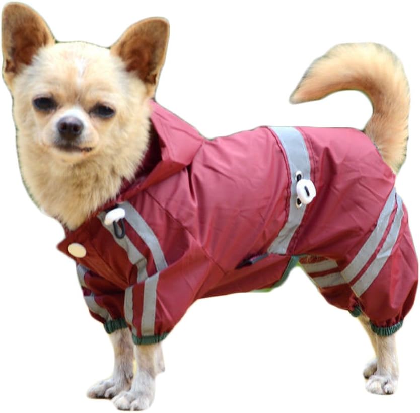 shih tzu raincoat