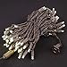 Novelty Lights 50ft 100 LED Warm White Christmas String Lights, 6