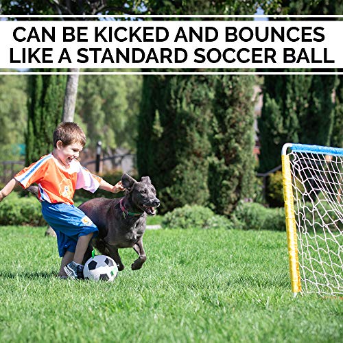 The Original Quality Hyper Pet Grab Tabs Dog Soccer Ball & Dog Football