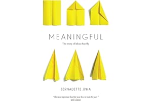 Meaningful: The Story of Ideas That Fly