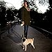 FLEXI Neon Retractable Dog Leash (Cord) 16 ft, Medium, Black/Neon (PN2.266.S NEO.15)