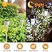 SUNNEST Solar Garden Lights Outdoor 12Pack Stainless Steel Solar Pathway Lights, Outdoor Landscape Lighting for Lawn/Patio/Yard/Walkway/Driveway SG-T9285
